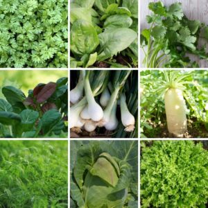 Charles Dowding's August Collection