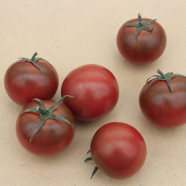 Tomato Sunchocola F1 - Image 2